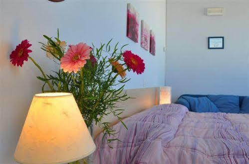Il Chiesino Otel Pontedera Dış mekan fotoğraf